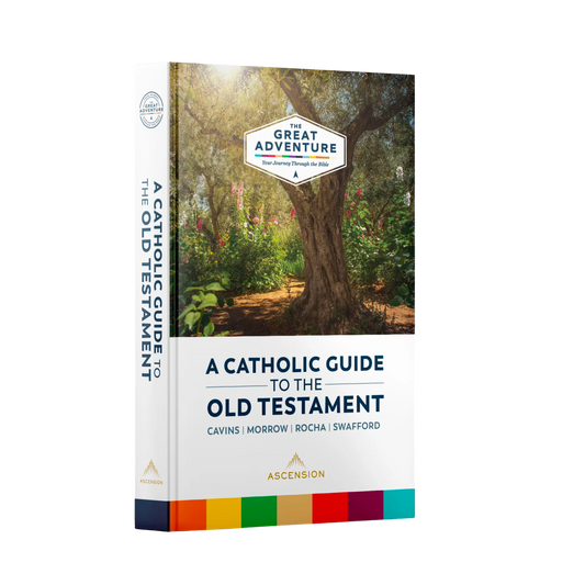 A Catholic Guide to the Old Testament
